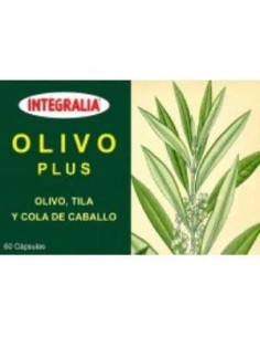 Olivo Plus