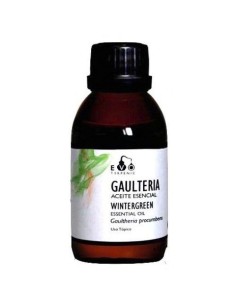 Gaulteria Wintergreen...