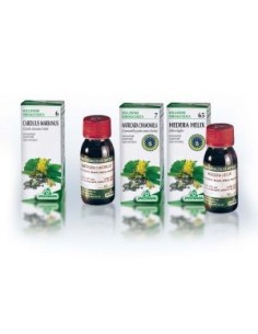 Gentiana Lutea TM 50 50ml....