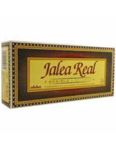 Jalea Real 500mg 20 ampollas