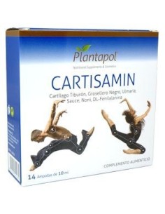 Cartisamin 14amp.