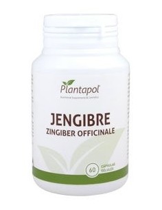 Jengibre 600mg. 60cap.