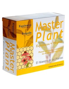 Master plant echinacea y...