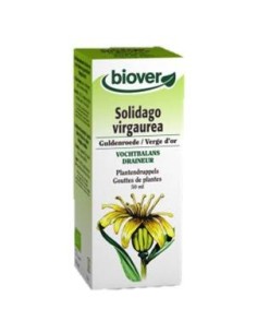 Solidago Virga Aurea (vara...