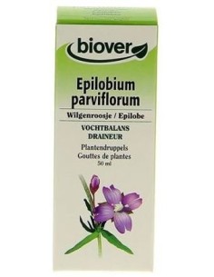 Epilobium Parviflorum...