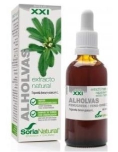 EXT. Alholvas XXI 50ml. s/al 