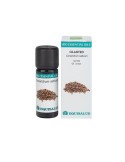 Bio Essential Oil Cilantro de Equisalud, 10 mililitros