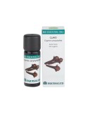 Bio Essential Oil Clavo de Equisalud, 10 mililitros