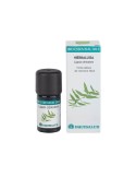 Bio Essential Oil Hierbaluisa de Equisalud, 5 mililitros