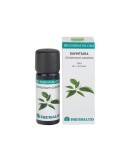 Bio Essential Oil Ravintsara de Equisalud, 10 mililitros