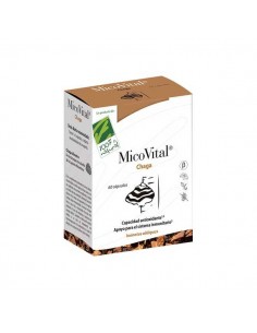 Micovital Chaga de 100% Natural, 60 cápsulas