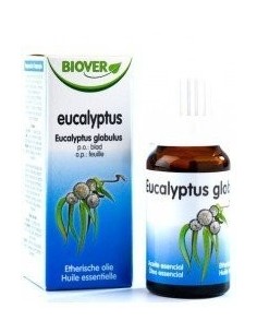 Eucalyptus Globulus aceite...