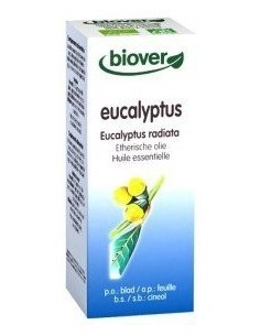 Eucalyptus Radiata aceite...