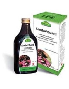 Sambuguard Jarabe 175 ml.